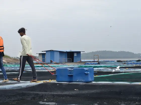 Green Mart aquaculture cages at Navegaon Reservoir