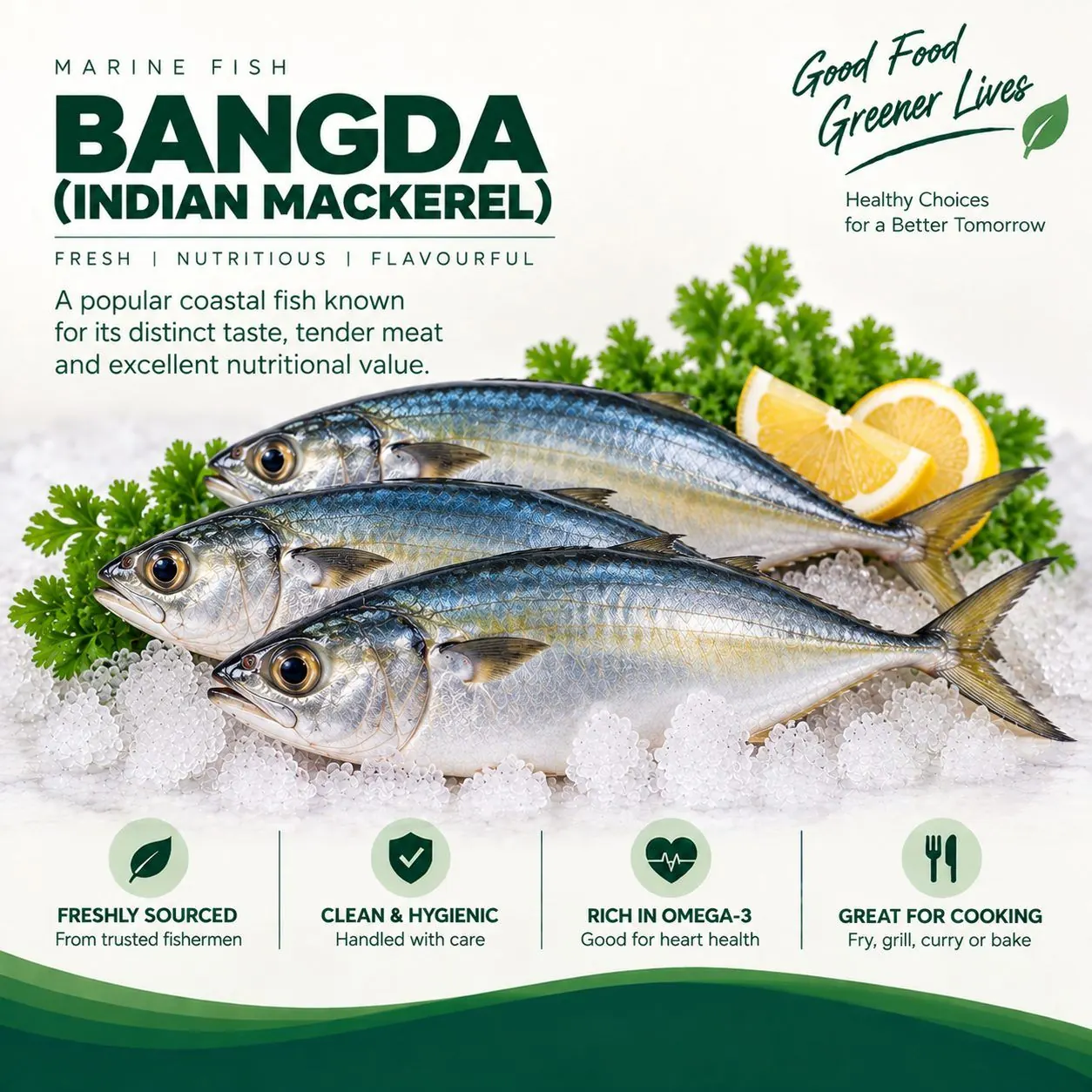 Fresh Bangda (Indian Mackerel)